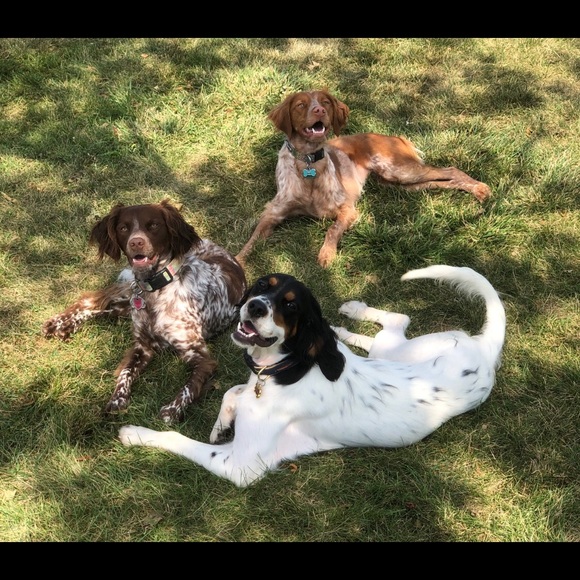 Meet your Posher, Stephanie - Picture 4 of 4